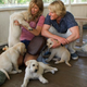 Image for article titled Marley & Me